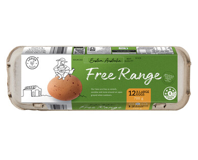 Lodge Farms Extra Large Free Range Eggs 12pk/700g