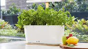 Smart Indoor Planter with Wi Fi